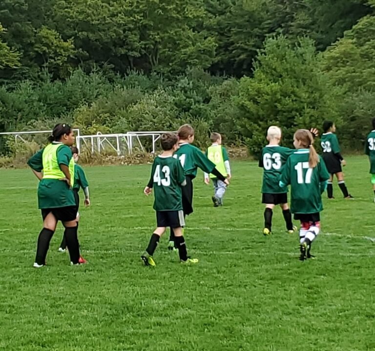 Soccer Field image 3