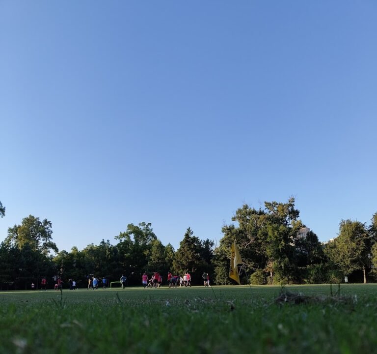 Soccer Field image 2