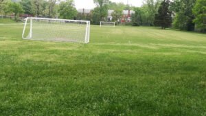 Soccer Field image 1