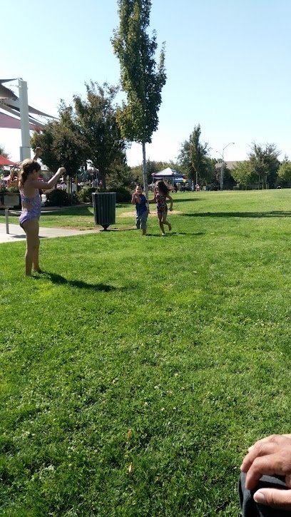 Soccer Field image 1