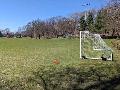 Soccer Field image 1