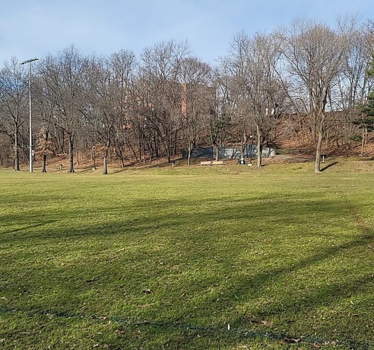 Soccer Field image 3