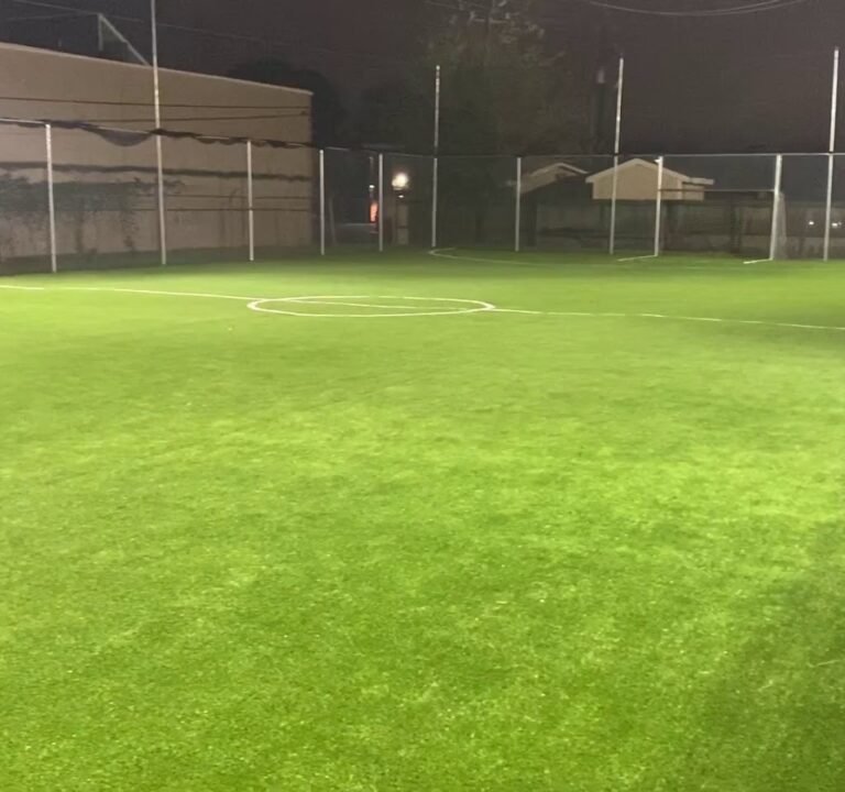 Soccer Field image 4