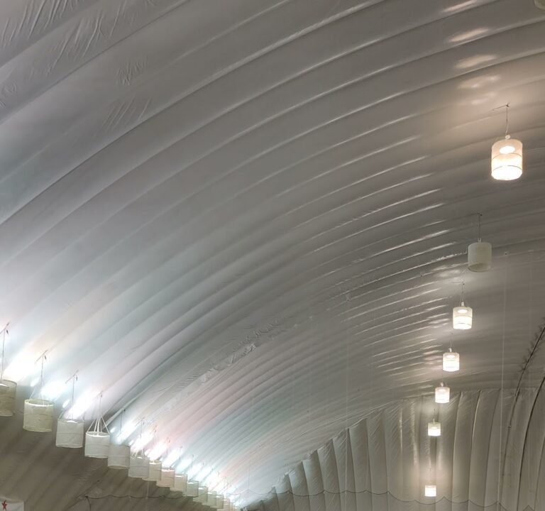 Soccer Field image 4