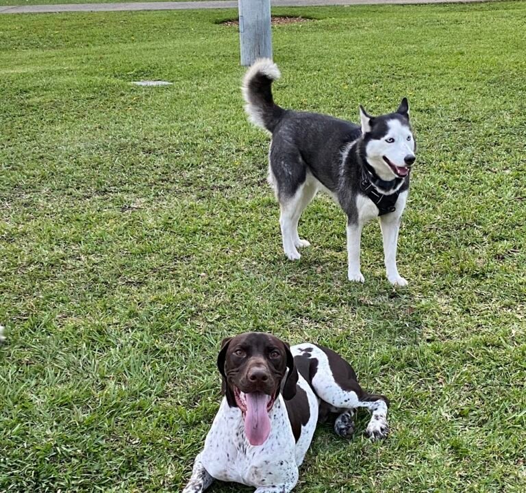 Soccer Field image 3