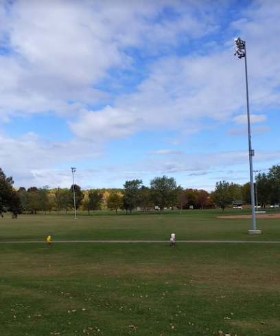 Soccer Field image 1
