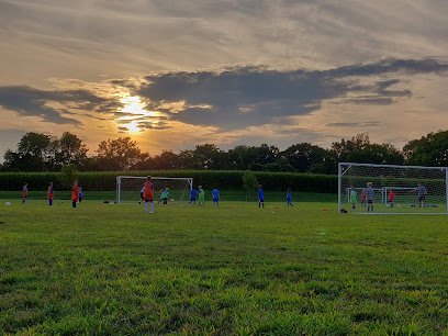 Soccer Field image 1