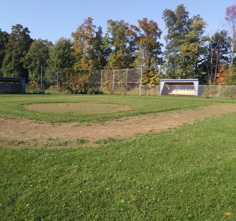 Soccer Field image 2