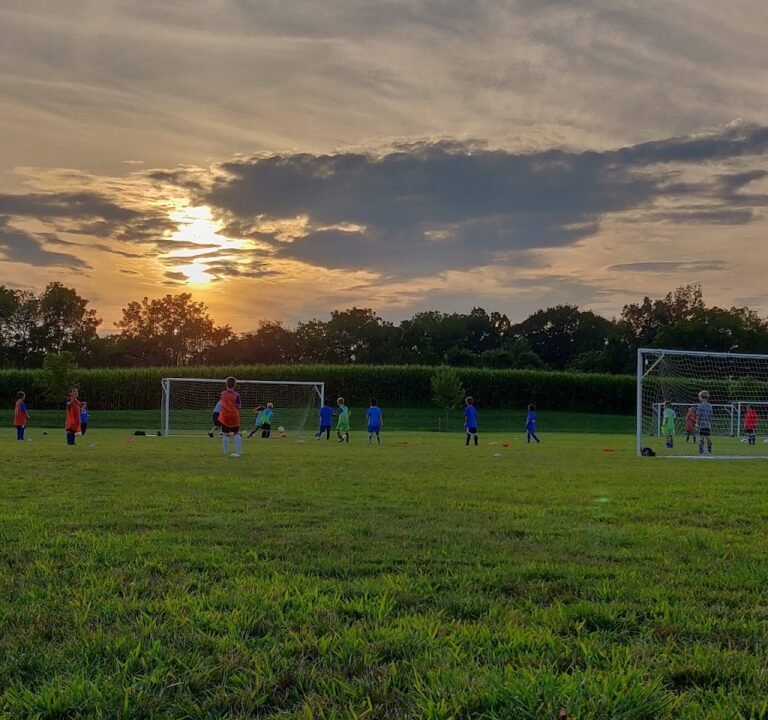 Soccer Field image 3