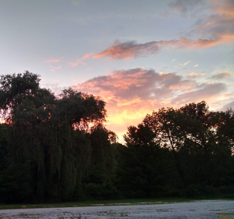 Soccer Field image 3