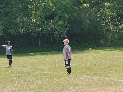 Soccer Field image 1