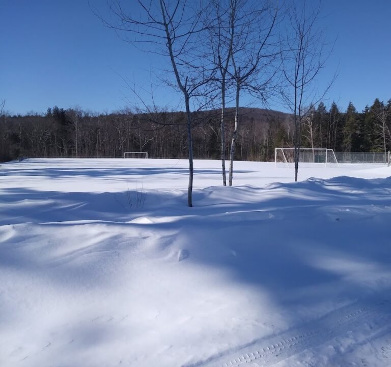 Soccer Field image 2