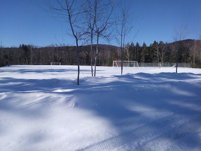Soccer Field image 1