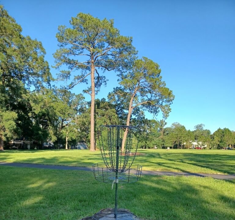 Soccer Field image 2
