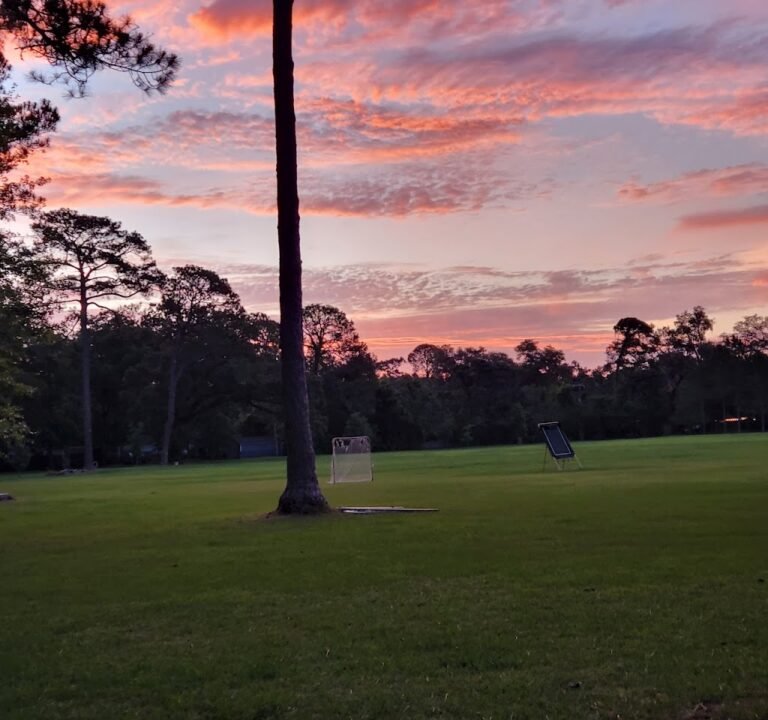 Soccer Field image 3
