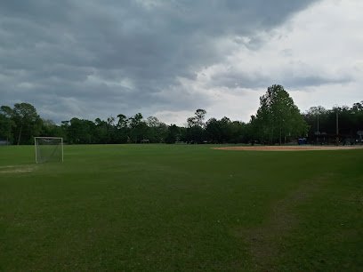 Soccer Field image 1