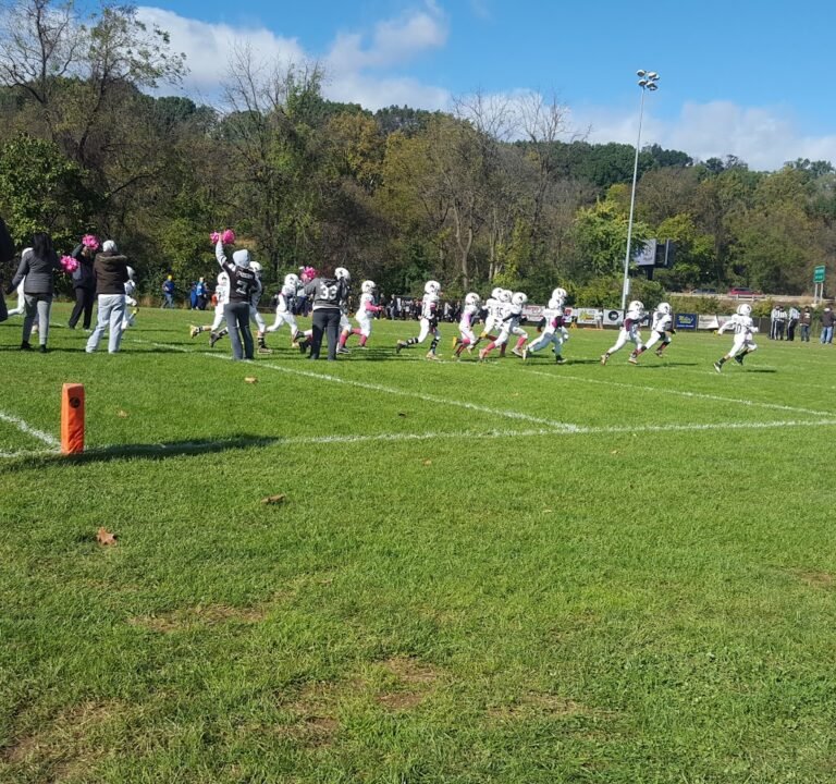 Soccer Field image 2