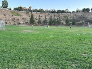 Soccer Field image 1