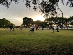 Soccer Field image 1