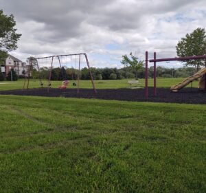 Soccer Field image 2