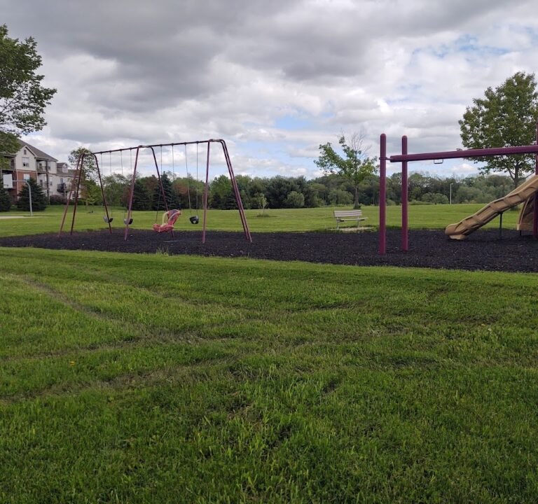 Soccer Field image 2
