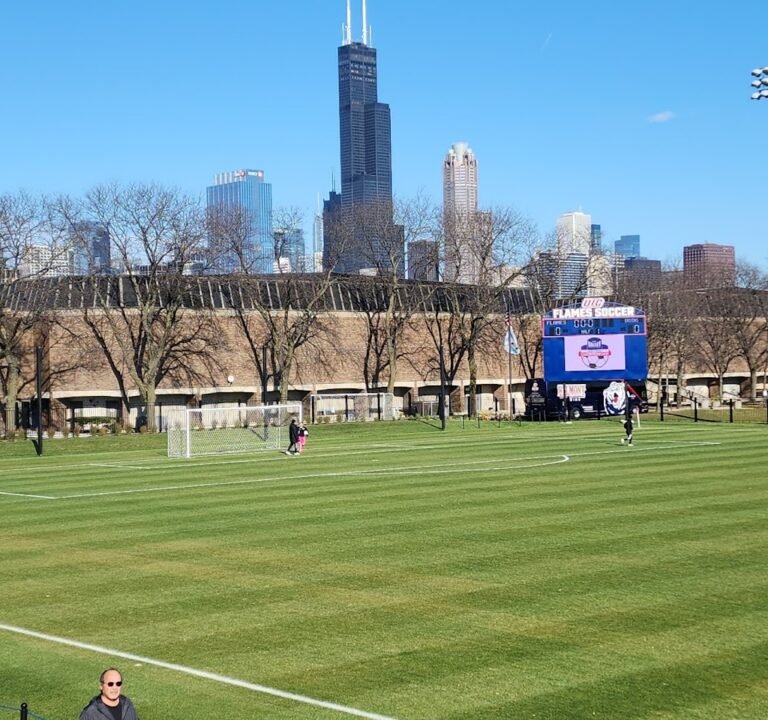 Soccer Field image 2