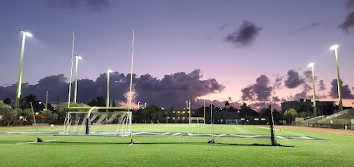 Soccer Field image 1