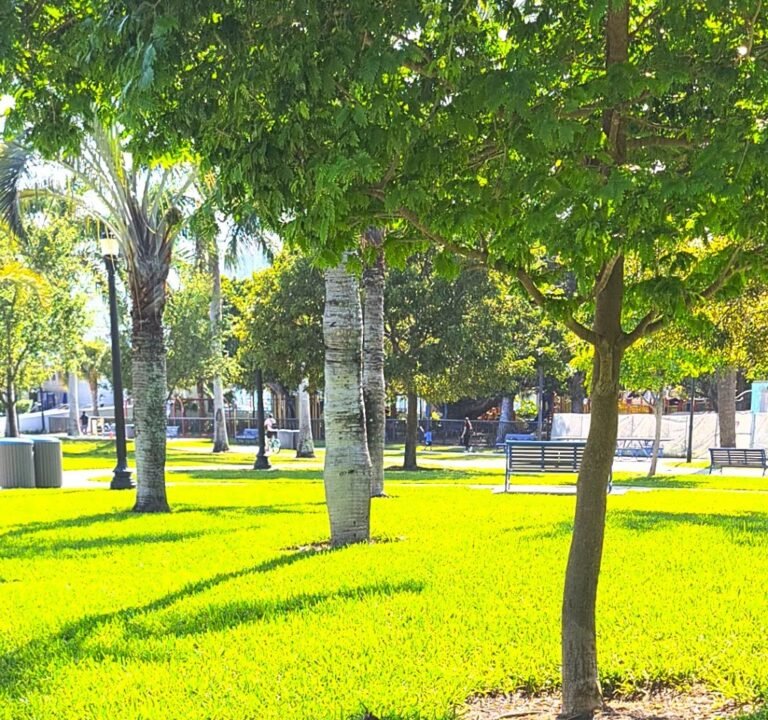 Soccer Field image 3