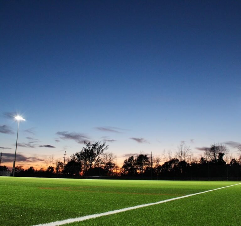 Soccer Field image 2
