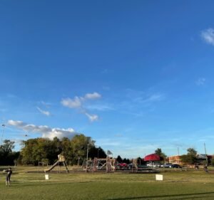 Soccer Field image 2