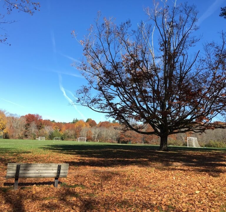 Soccer Field image 2