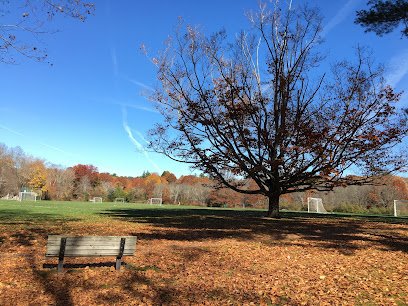 Soccer Field image 1