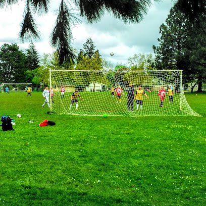 Soccer Field image 1