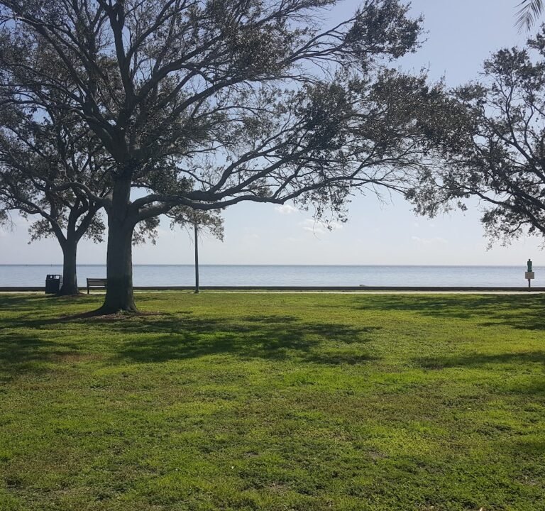 Soccer Field image 2