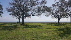 Soccer Field image 1