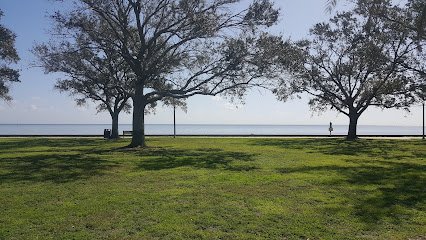 Soccer Field image 1
