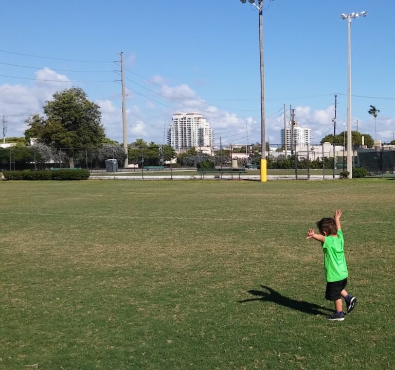 Soccer Field image 2
