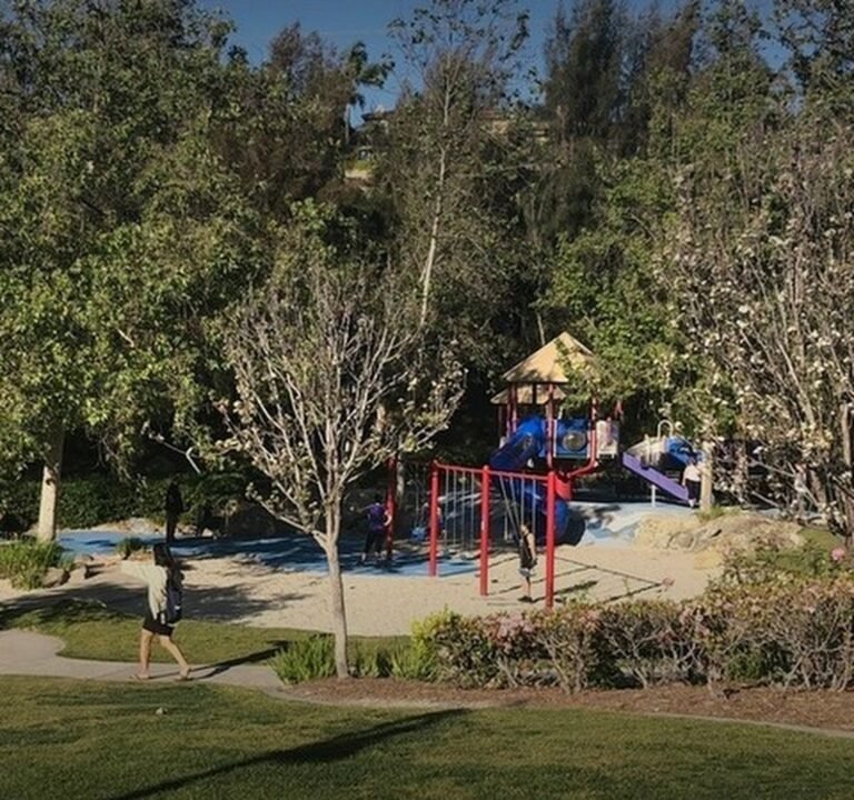 Soccer Field image 2