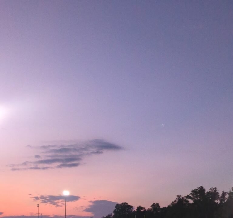 Soccer Field image 2