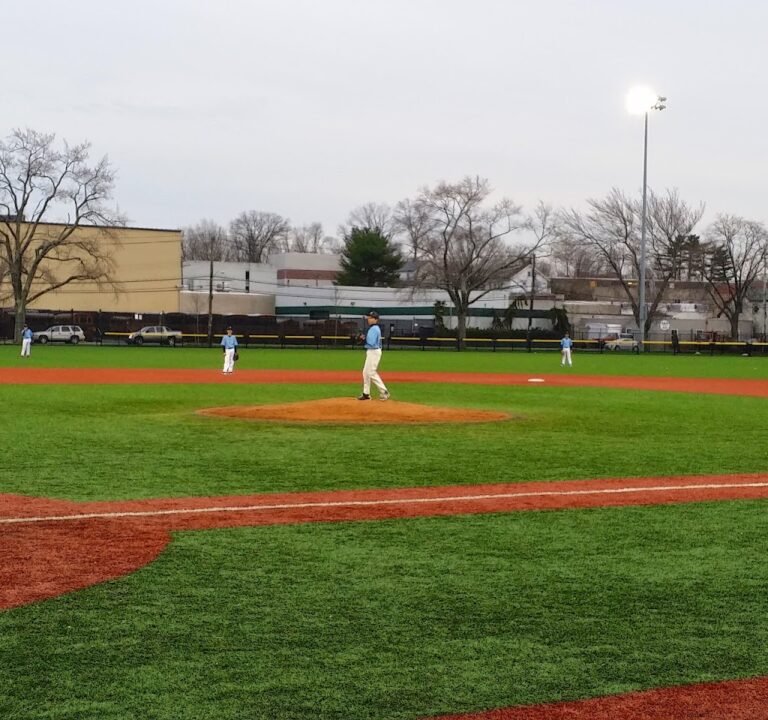 Soccer Field image 2