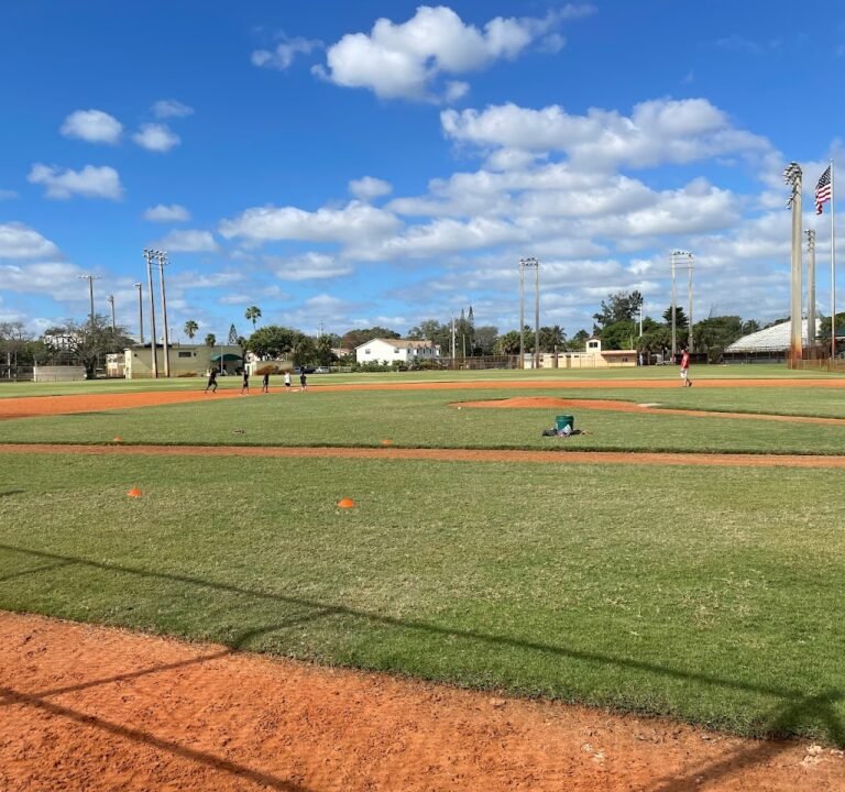 Soccer Field image 3