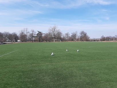 Soccer Field image 1