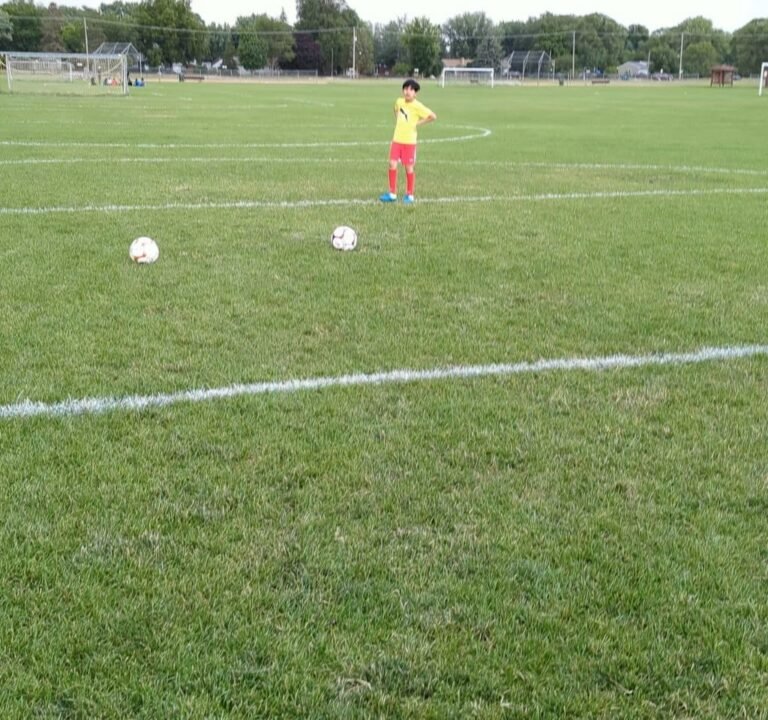 Soccer Field image 4