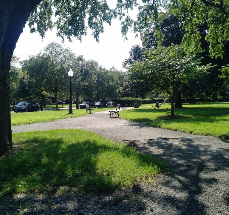 Soccer Field image 2