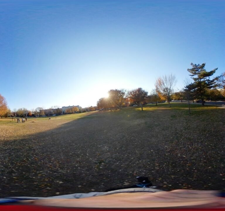 Soccer Field image 3