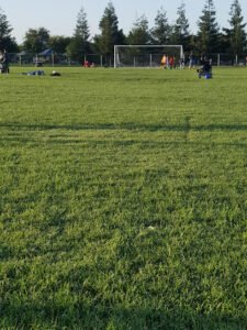 Soccer Field image 1