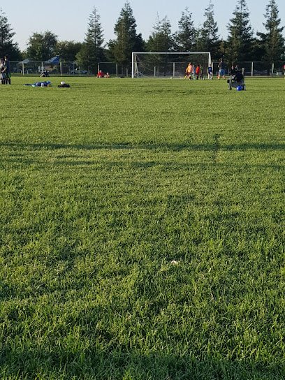 Soccer Field image 1