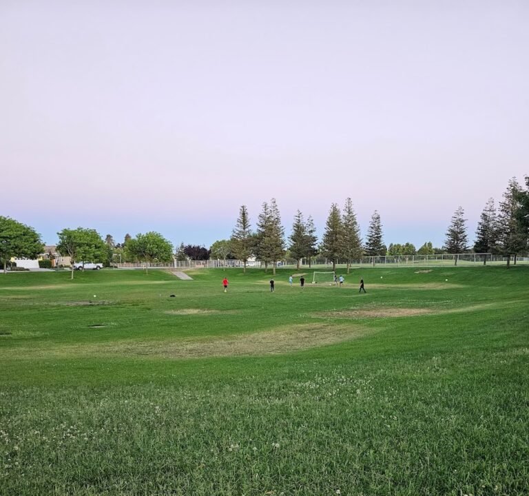 Soccer Field image 2