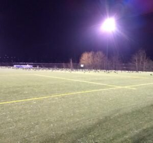 Soccer Field image 3