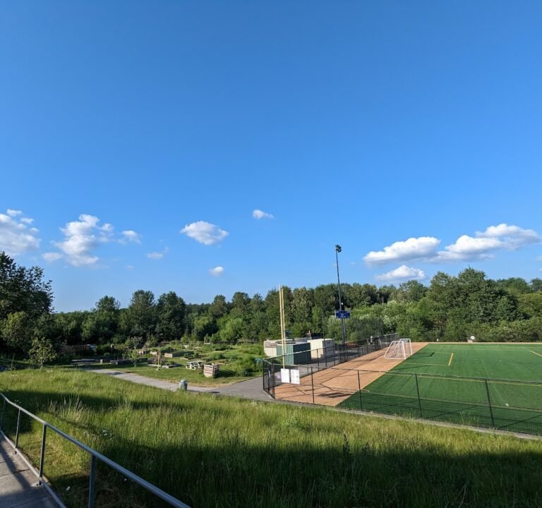 Soccer Field image 2